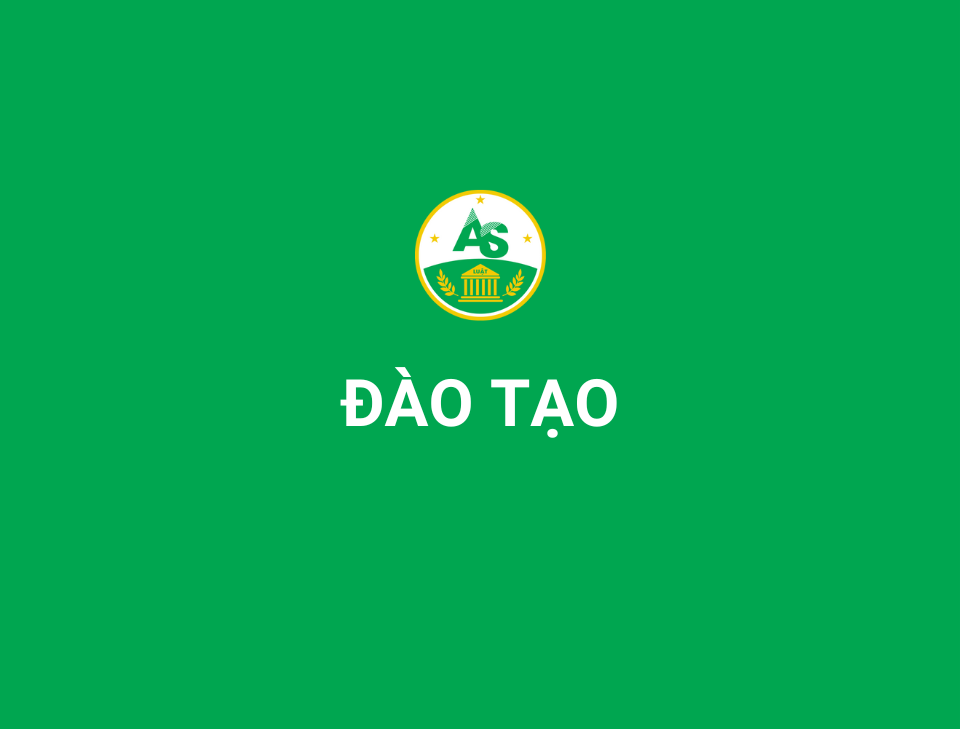 AS_Website (7)