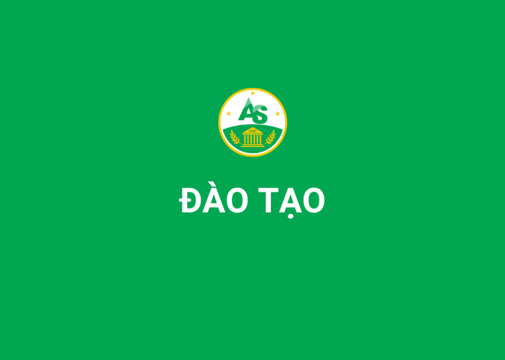 AS_Website (7)